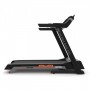 Tapis de course ALPHA RUN 200 - Kettler