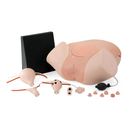 Simulateur gynécologique P91
