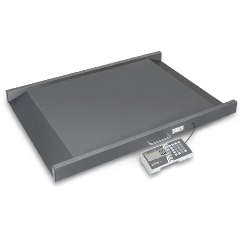 Plateforme de pesée pour chaise roulante KERN MWS