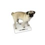 Balance Pèse- animaux standard 6858 Soehnle