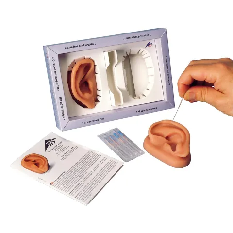 2 oreilles pour acupuncture