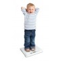 Balance Pèse- animaux standard 6858 Soehnle