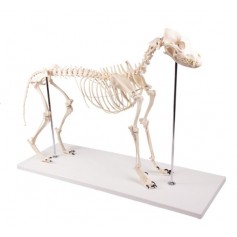 Modèle de chien "Olaf", taille naturelle - Erler Zimmer