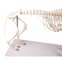 Modèle de chien "Olaf", taille naturelle - Erler Zimmer