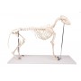 Modèle de chien "Olaf", taille naturelle - Erler Zimmer