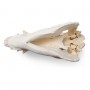 Crâne de porc (Sus scrofa domesticus), femelle, modèle préparé - 3B Scientific
