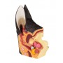 Oreille canine, saine/malade - Erler Zimmer