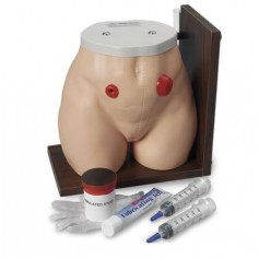 Simulateur des soins de stomie 3B Scientific W44010