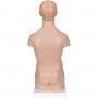 Torse miniature, en 12 parties 