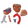 Coeur, en 7 parties 