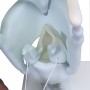 Larynx fonctionnel, agrandi 3 fois 