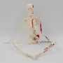 Mini squelette anatomique humain 45cm