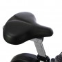 Vélo d'appartement Ergo EMS H678 - BH FITNESS