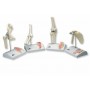 Articulation miniature du coude avec coupe transversale 
