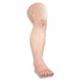 Jambe pour l'exercice de sutures chirurgicales 