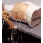 Simulateur de drainage du thorax 