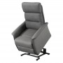 Fauteuil releveur NEW BERGEN - 1 moteur