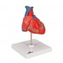 Coeur classique, en 2 parties 