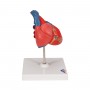 Coeur classique, en 2 parties 