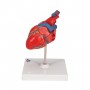 Coeur classique, en 2 parties 