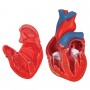Coeur classique, en 2 parties 