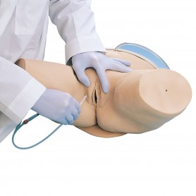 Simulateur de cathétérisme, féminin 