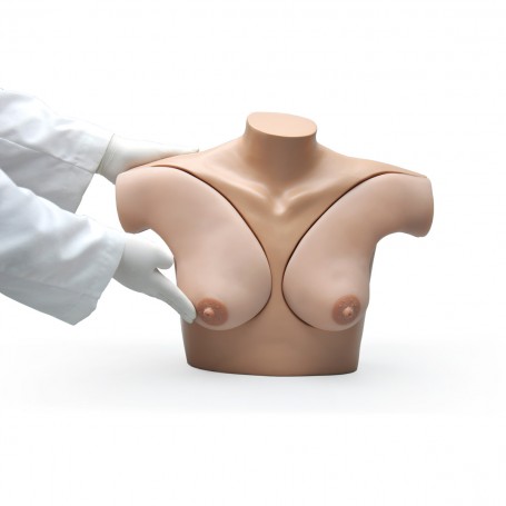 Modèle de palpation mammaire pour un auto-examen - 3B Scientific