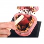 Le tabac en bouche 