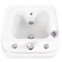 FOOT SPA BASIN - META