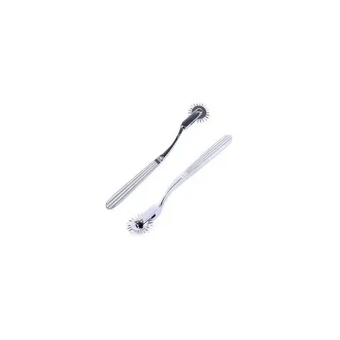 Roue à dentée en Acier Inoxydable de Wartenberg