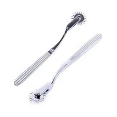 Roue à dentée en Acier Inoxydable de Wartenberg