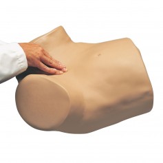 Simulateur gynécologique Gyn/Aid