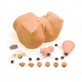 Simulateur gynécologique EVA 