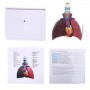Modèle d'anatomie humaine pour le système respiratoire