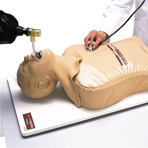 Simulateur d'intubation endotrachéale