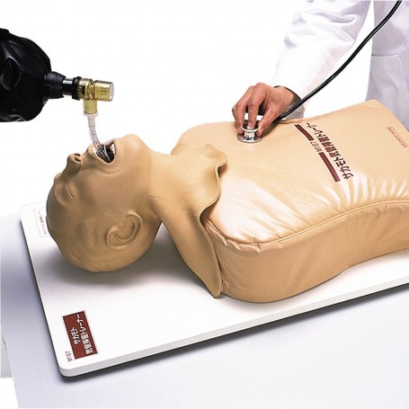 Simulateur d'intubation endotrachéale 