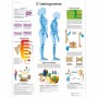L'ostéoporose