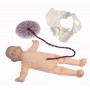 Poupée foetus avec placenta