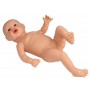 Bébé pour les futurs parents, féminin, 2,4kg