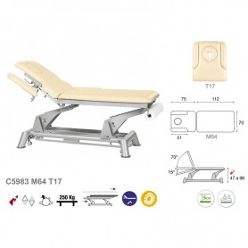 Table électrique bielle grise 2 plans