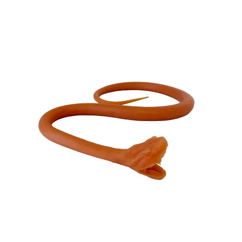 Intubation endotrachéale du serpent