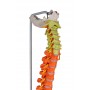 Colonne vertébrale flexible, didactique