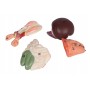 Modèle de dissection du rat