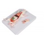 Modèle de dissection du rat
