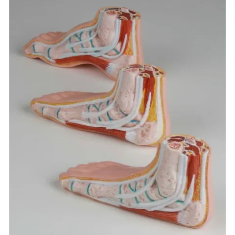 Série de pieds mini, 3 modèles