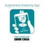 Modèle anatomique de cerveau, grandeur nature, 5 parties - EZ Augmented Anatomy