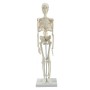Squelette miniature pour votre bureau