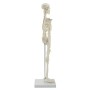 Squelette miniature pour votre bureau