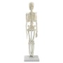 Squelette miniature pour votre bureau