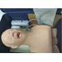 Mannequin d'Étude d'Intubation PVC avec Dents